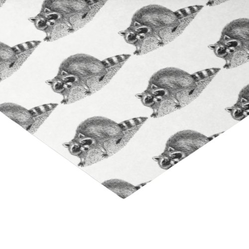Vintage Masked Raccoon Tissue Paper