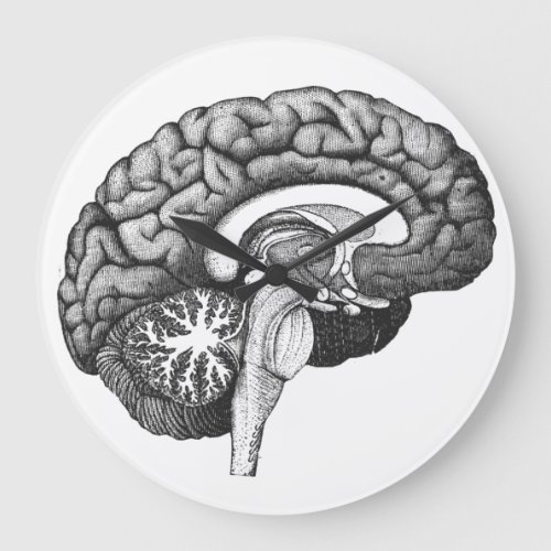 Vintage medical anatomy illustration human brain large clock
