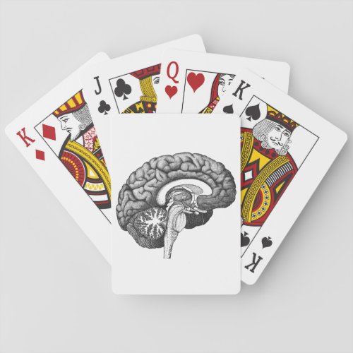 Vintage medical anatomy illustration human brain poker cards