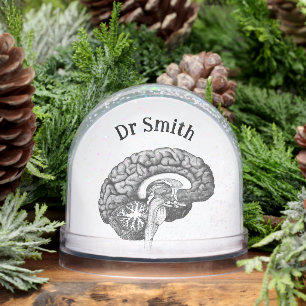 Vintage medical anatomy illustration human brain snow globe