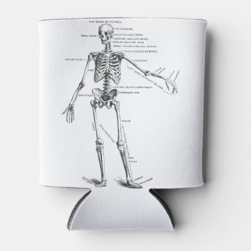 Vintage medical anatomy skeleton doctor diagram can cooler