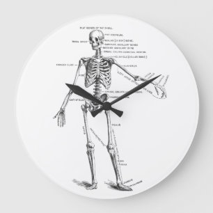 Vintage medical anatomy skeleton doctor diagram large clock