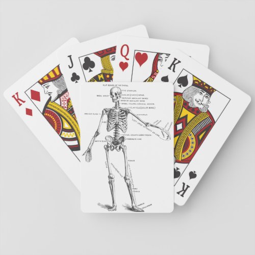 Vintage medical anatomy skeleton doctor diagram poker cards