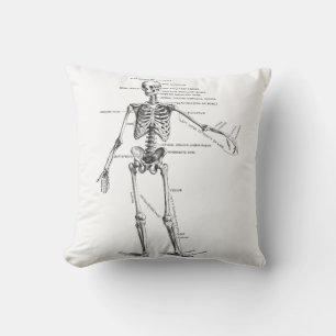Vintage medical anatomy skeleton doctor diagram throw pillow