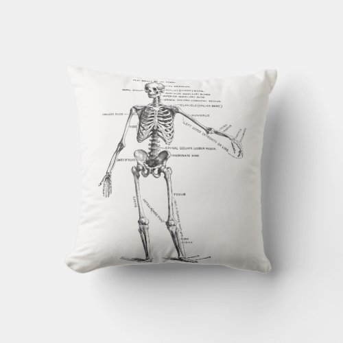 Vintage medical anatomy skeleton doctor diagram throw pillow