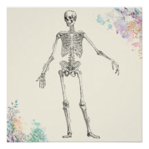 Vintage medical anatomy skeleton flower diagram