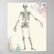 Vintage medical anatomy skeleton flower diagram