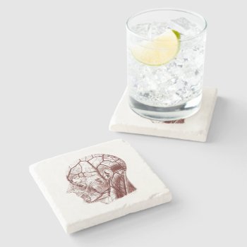 Vintage Medical Art Nerves Of The Human Head Stone Coaster by vintage_anatomy at Zazzle
