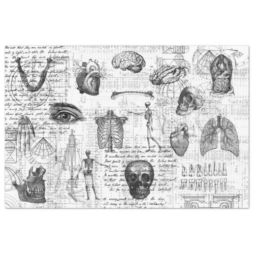 Vintage Medical Body Gothic BW Tissue Paper