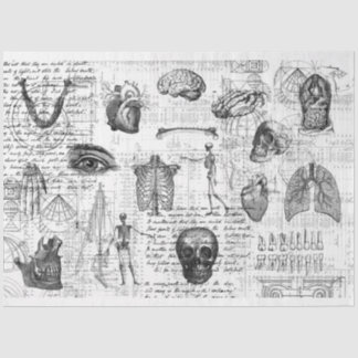 Vintage Medical Body Gothic B&W Tissue Paper