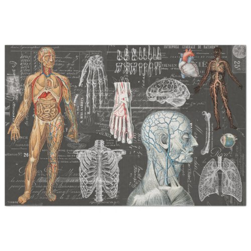 Vintage Medical Body Gothic Halloween Tissue Paper