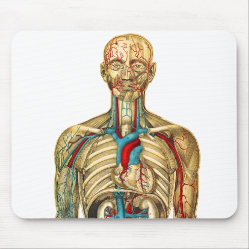Vintage Medical Chart Circulatory System Mouse Pad