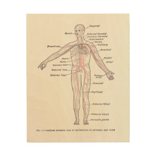 Vintage Medical Wood Wall Art | Zazzle