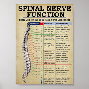 Vintage medical illustrated poster