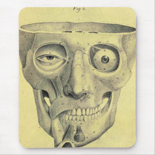 Vintage Medical Illustration Medieval Skull Mouse Pad