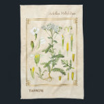 Vintage Medicinal Herb Yarrow Flower Botanical Kitchen Towel<br><div class="desc">Capture the charm of yesterday with Charmed Life's vintage herbal art kitchen towels featuring antique German lithographs of medicinal plants and herbs from Franz Eugen Köhler’s "Medizinal-Pflanzen" or "Medicinal Plants" published in 1887. Achillea millefolium, commonly known as yarrow, is a flowering plant in the family Asteraceae. It is native to...</div>