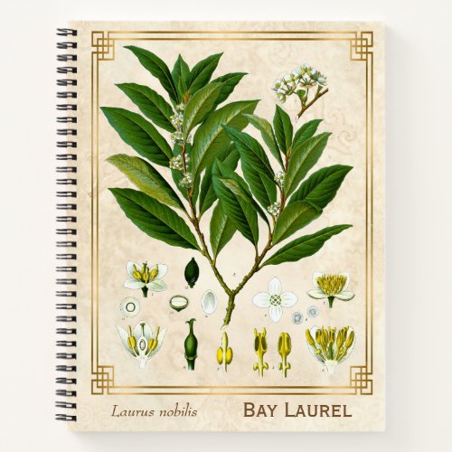 Vintage Medicinal Plant Bay Laurel Herbal Notebook