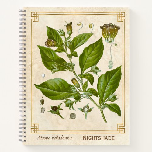 Vintage Medicinal Plant Nightshade Belladonna Herb Notebook