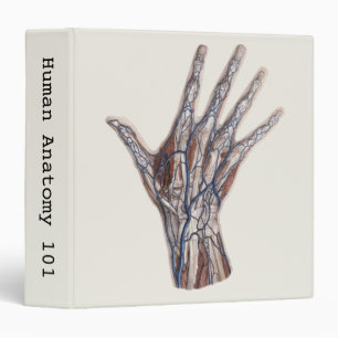 Vintage Medicine, Human Anatomy Hand Fingers 3 Ring Binder