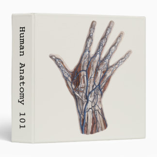 Vintage Medicine, Human Anatomy Hand Fingers 3 Ring Binder