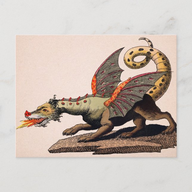 Vintage Medieval Dragon Postcard (Front)