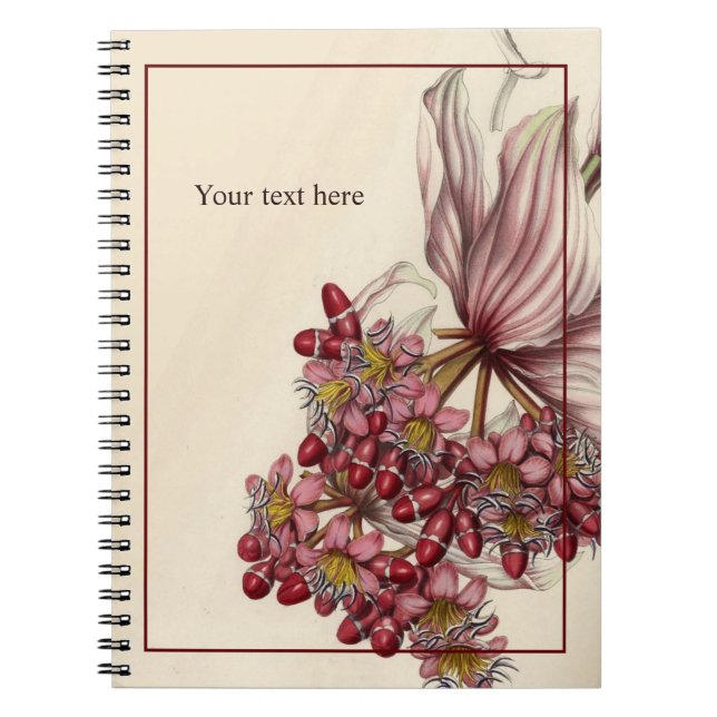 Vintage Medinilla Magnifica Notebook (Front)