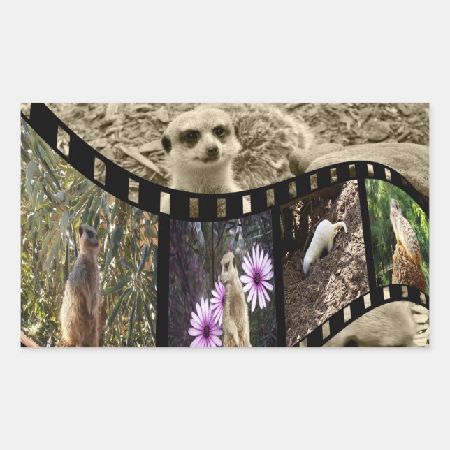 Vintage Meerkat Photo Strip, Rectangular Sticker (Front)