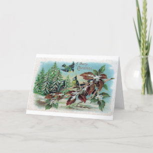 Vintage Merry Christmas Birds Holiday Card