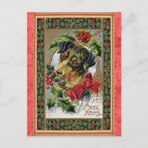 Vintage Merry Christmas Cute Dog Postcard