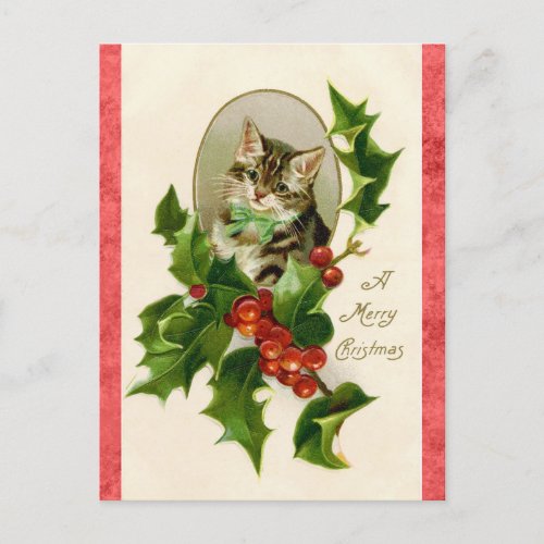 Vintage Merry Christmas Greetings Cute Kitten Cat Postcard