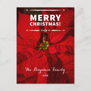 Vintage Merry Christmas Red Poinsettias Custom Holiday Postcard