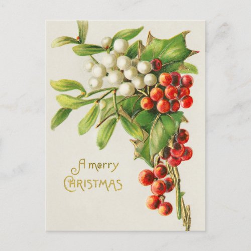 Vintage Merry Christmas Red  White Holly Berries Holiday Postcard