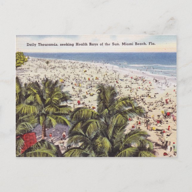 Vintage Miami Beach Florida Postcard (Front)