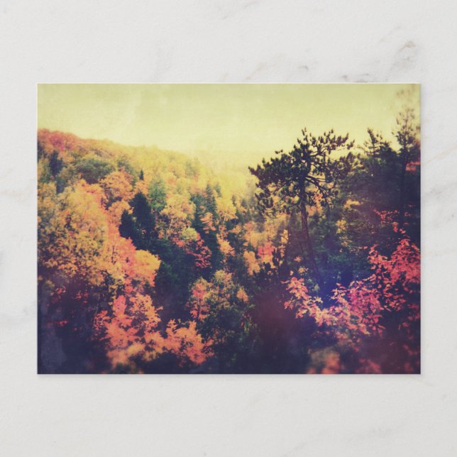 Vintage Michigan Autumn Trees Postcard (Front)
