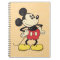 Vintage Mickey