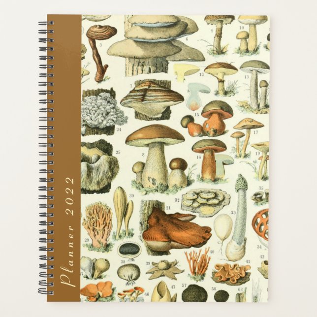 Vintage Millot Mushrooms & Fungi 2022 Dated Diary Planner (Front)