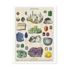 Vintage Mineralogy Chart Postcard
