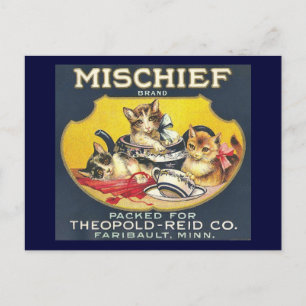 Vintage Mischief Brand Label Kittens Cats Postcard