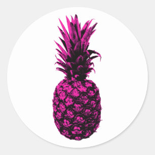 Vintage Modern Tropical Pink Pineapple Classic Round Sticker