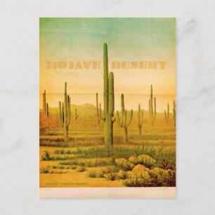Vintage Mojave Desert Travel Postcard