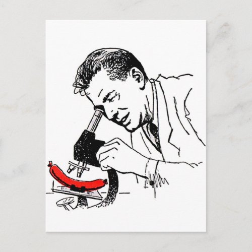 Vintage Molecular Hot Dog Under the Microscope Postcard