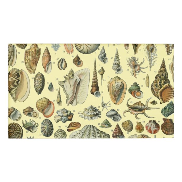 Sea Shell Seashell Name Tags | Zazzle