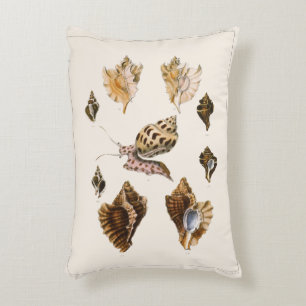 Vintage Mollusks and Snails, Marine Life Organisms Accent Pillow