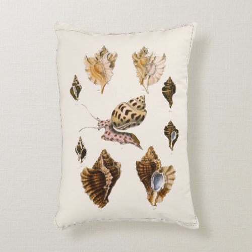 Vintage Mollusks and Snails Marine Life Organisms Accent Pillow