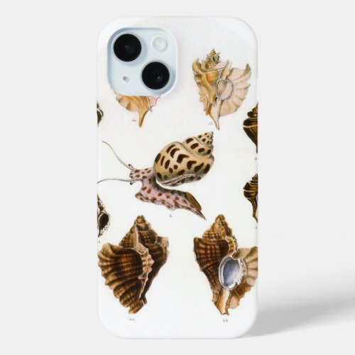 Vintage Mollusks and Snails Marine Life Organisms iPhone 15 Case
