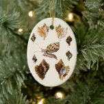 Vintage Mollusks and Snails, Marine Life Organisms Ceramic Ornament