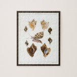 Vintage Mollusks and Snails, Marine Life Organisms Jigsaw Puzzle