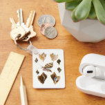 Vintage Mollusks and Snails, Marine Life Organisms Keychain