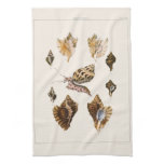 Vintage Mollusks and Snails, Marine Life Organisms Kitchen Towel