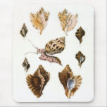 Vintage Mollusks and Snails, Marine Life Organisms Mouse Pad